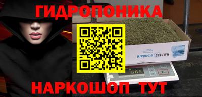spice Северобайкальск